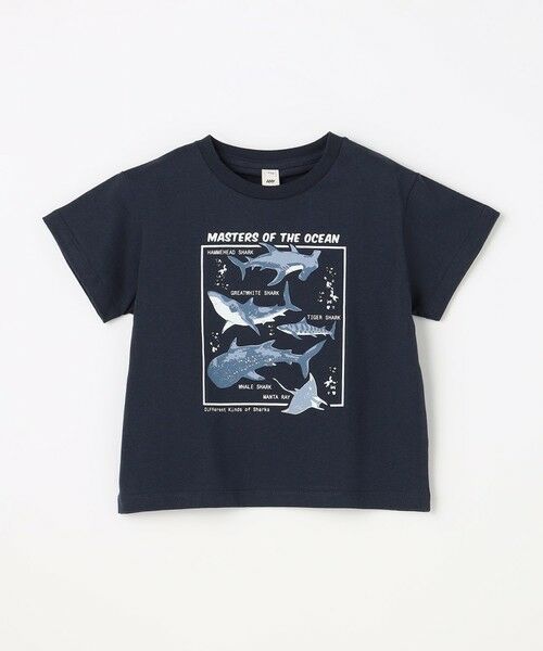 ANY / エニィ カットソー | 【洗濯機可能】サメプリント 半袖Tシャツ | 詳細9
