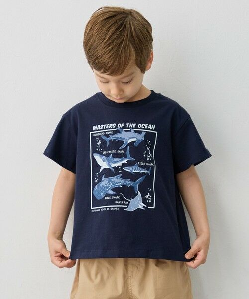 ANY / エニィ カットソー | 【洗濯機可能】サメプリント 半袖Tシャツ(ネイビー)