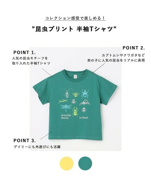 ANY / エニィ カットソー | 【綿100％】昆虫プリント 半袖Tシャツ | 詳細6