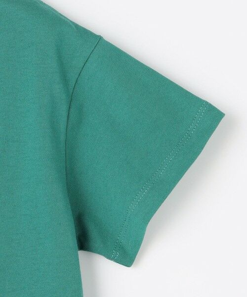 ANY / エニィ カットソー | 【洗濯機可能】昆虫プリント 半袖Tシャツ | 詳細13