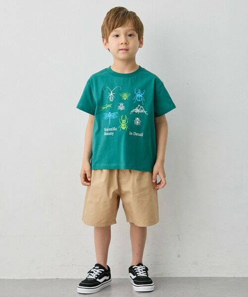 ANY / エニィ カットソー | 【洗濯機可能】昆虫プリント 半袖Tシャツ | 詳細8