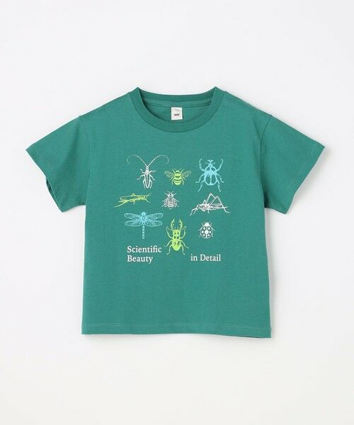 ANY / エニィ カットソー | 【洗濯機可能】昆虫プリント 半袖Tシャツ | 詳細9