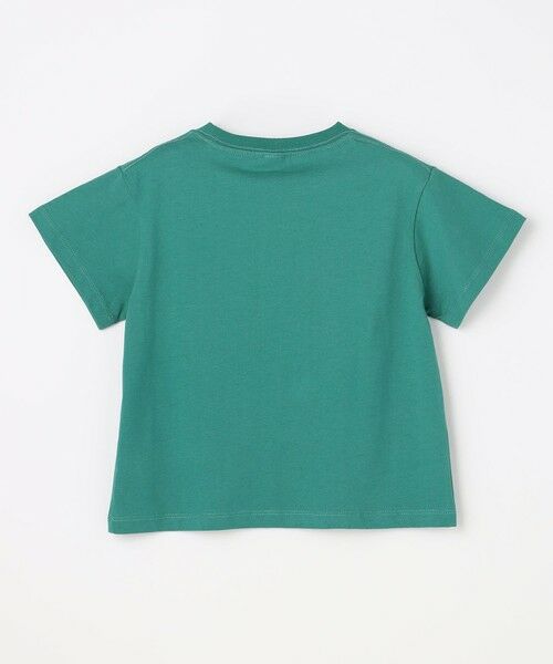 ANY / エニィ カットソー | 【洗濯機可能】昆虫プリント 半袖Tシャツ | 詳細11