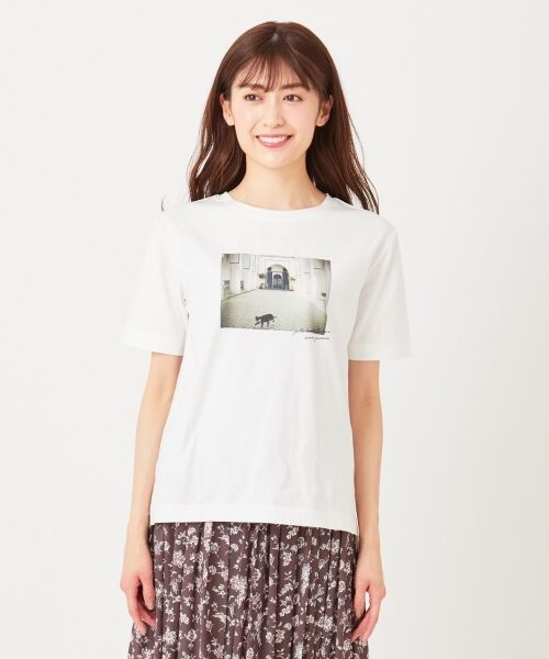any SiS / エニィスィス Tシャツ | モロッコフォトプリント Tシャツ | 詳細6