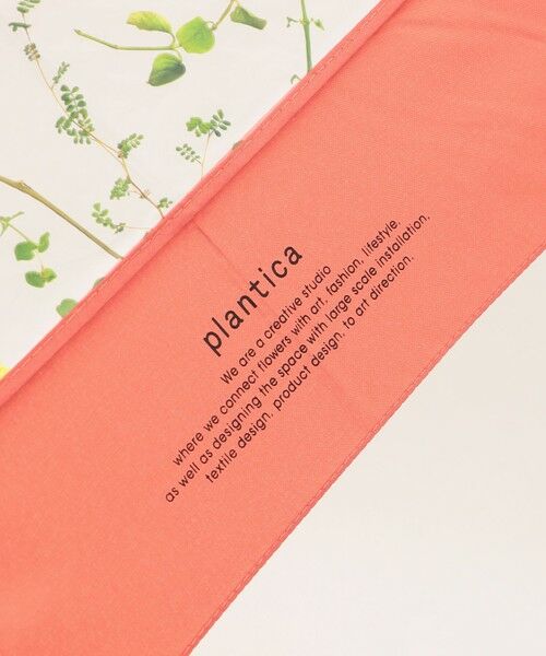 ANY SIS / エニィスィス 傘 | 【WEB限定】Plantica×Wpc.コラボ フラワー 長傘 | 詳細10