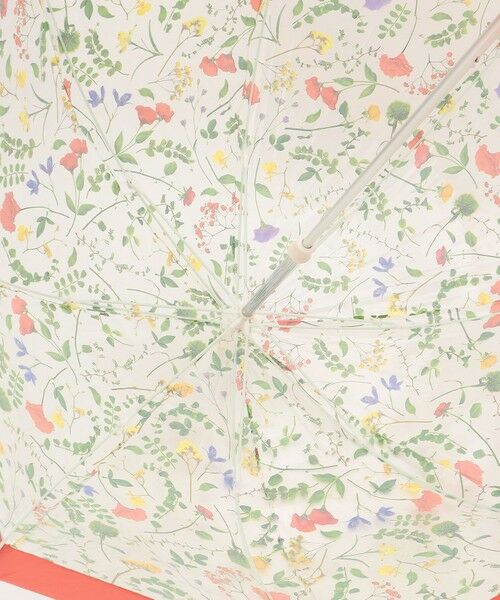 ANY SIS / エニィスィス 傘 | 【WEB限定】Plantica×Wpc.コラボ フラワー 長傘 | 詳細7