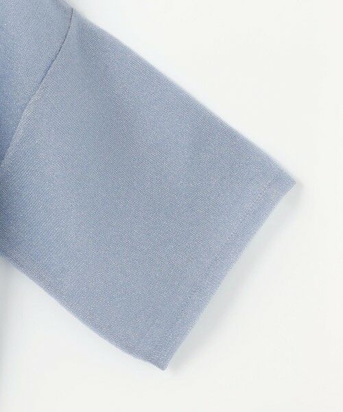 ANY SIS / エニィスィス ニット・セーター | 【洗える】シアー ニットT | 詳細6