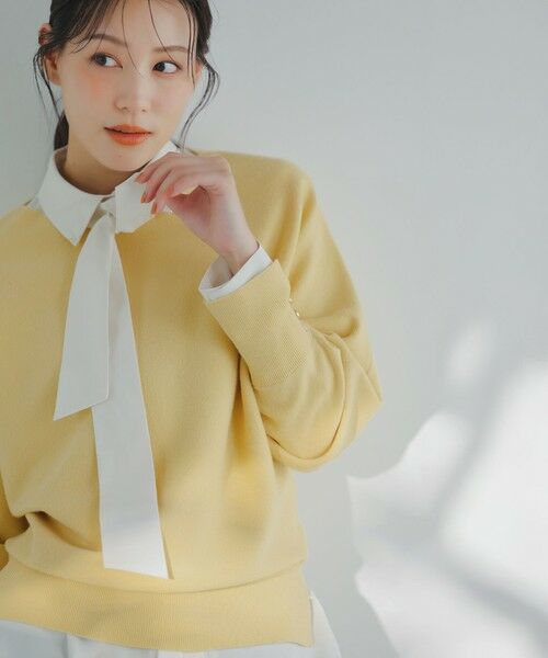 ANY SIS / エニィスィス シャツ・ブラウス | ボウタイ付きビジュー シャツ | 詳細6