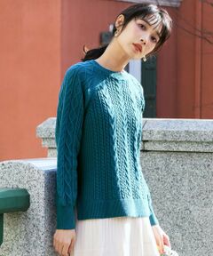 ANY SIS / エニィスィス ニット・セーター | ケーブル ニット プルオーバー