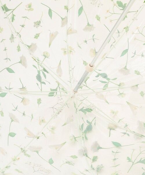 ANY SIS / エニィスィス 傘 | 【WEB・一部店舗限定】フラワープラスティック アンブレラ | 詳細3