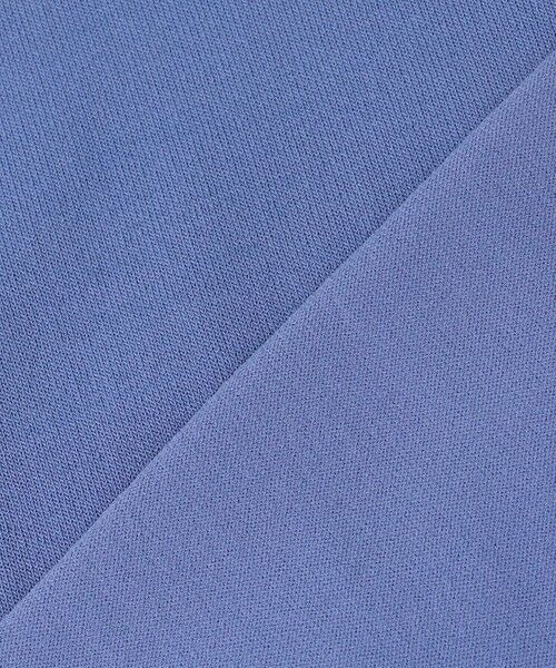 ANY SIS / エニィスィス ニット・セーター | 【アイスタッチ】フレンチスリーブ ニット | 詳細18
