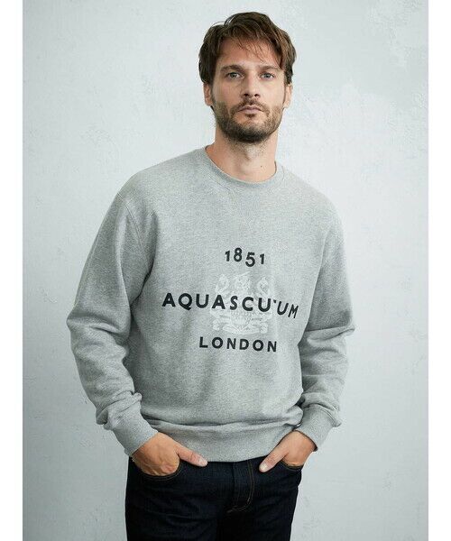 Aquascutum アクアスキュータム カットソー グレー - Tシャツ