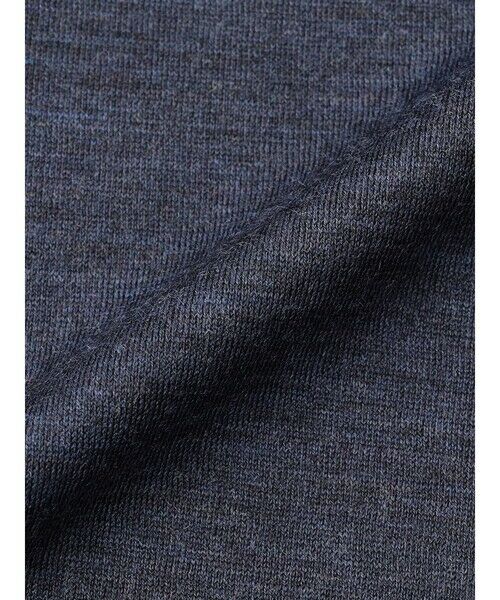 Aquascutum / アクアスキュータム カットソー | TEC.3NZ Merino Wool 24G Long T | 詳細3