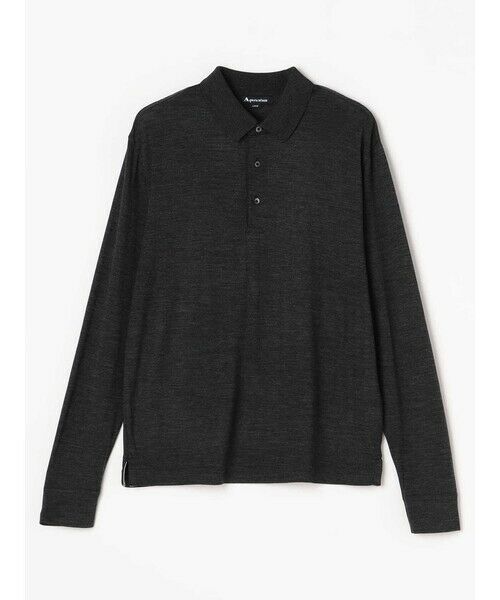 Aquascutum / アクアスキュータム カットソー | TEC.3NZ Merino Wool 24G POLO | 詳細16