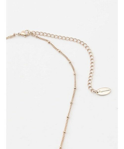 Aquascutum / アクアスキュータム その他 | ロングマンテルネックレス | 詳細2