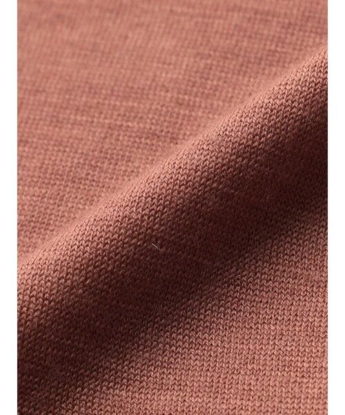 Aquascutum / アクアスキュータム カットソー | TEC.3 NZ Merino Polo-collar | 詳細18