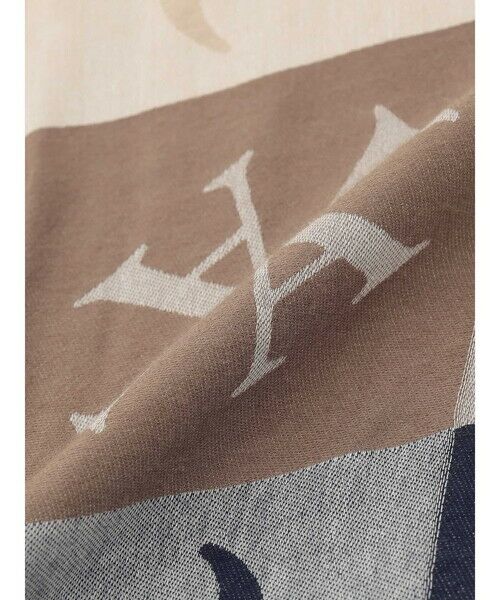 Aquascutum / アクアスキュータム マフラー・ショール・スヌード・ストール | AQ Logo Block Check Scarf | 詳細4