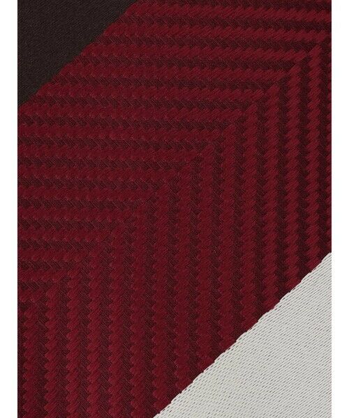 Aquascutum / アクアスキュータム ネクタイ | ビッグレジメンタルタイ | 詳細4