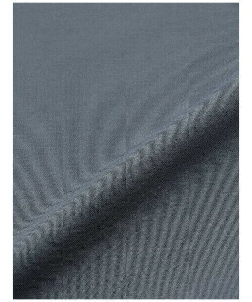 Aquascutum / アクアスキュータム カットソー | スタンドカラー カットソー | 詳細1