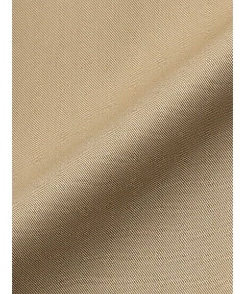 Aquascutum / アクアスキュータム その他アウター | Aラインステンカラーコート | 詳細9