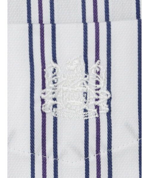 Aquascutum / アクアスキュータム シャツ・ブラウス | 【KING SIZE】Dobby Multi Stripe Shirt | 詳細11