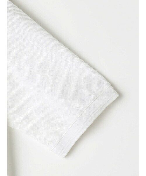 Aquascutum / アクアスキュータム カットソー | Birdseye Polo | 詳細13