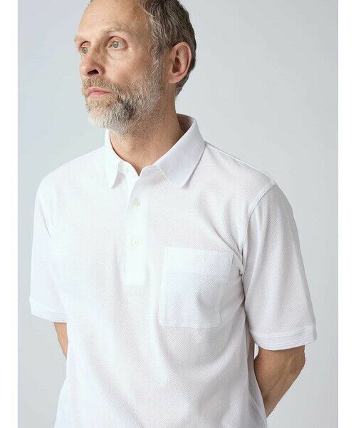 Aquascutum / アクアスキュータム カットソー | Birdseye Polo | 詳細9