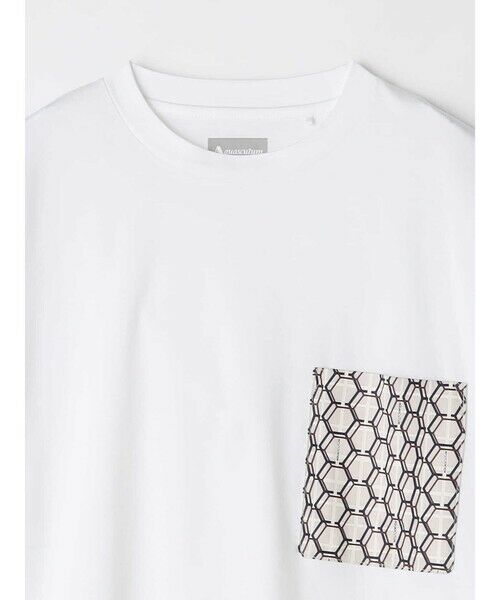 Aquascutum / アクアスキュータム カットソー | AQ Honeycomb T-shirt | 詳細13