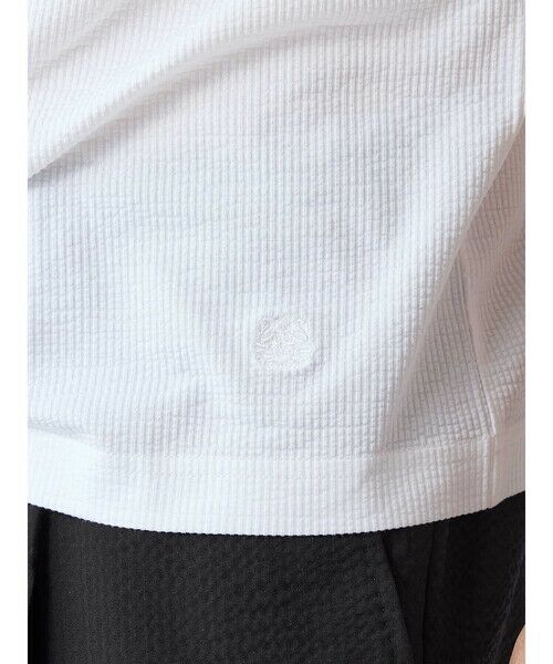 Aquascutum / アクアスキュータム カットソー | 【KING SIZE】TEC.3 Seer-sucker T-shirt | 詳細13