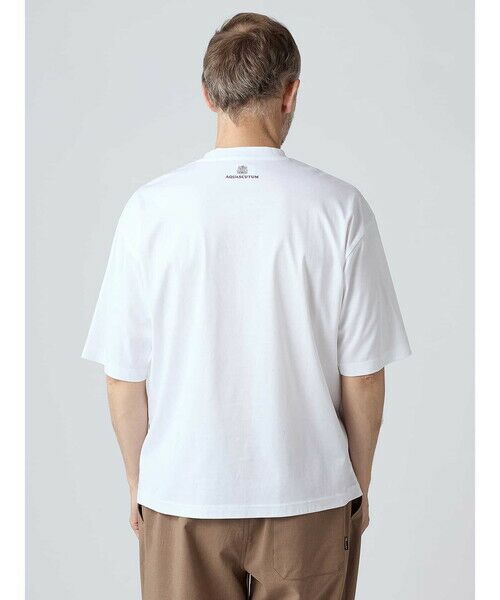 Aquascutum / アクアスキュータム カットソー | 【KING SIZE】＜175th limited＞ユニセックス CCプリントT | 詳細9