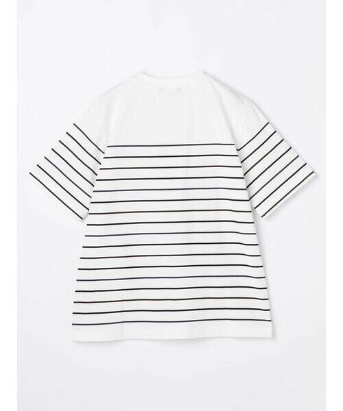 Aquascutum / アクアスキュータム カットソー | <175th Limited>ボーダーTシャツ | 詳細1