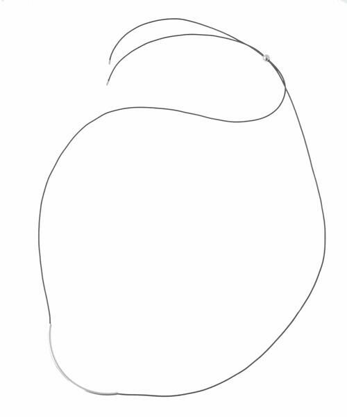 a.v.v / アー・ヴェ・ヴェ ネックレス・ペンダント・チョーカー | カーブトップチョーカーネックレス | 詳細5