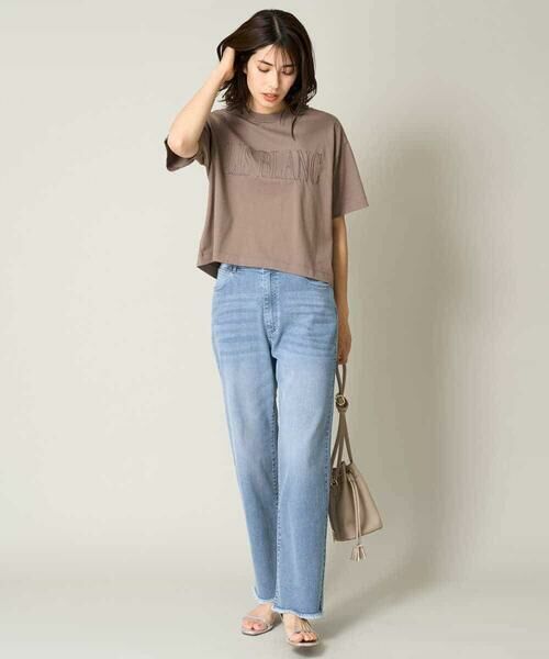 a.v.v / アー・ヴェ・ヴェ カットソー | 【接触冷感】大人のクロップドロゴTシャツ | 詳細5