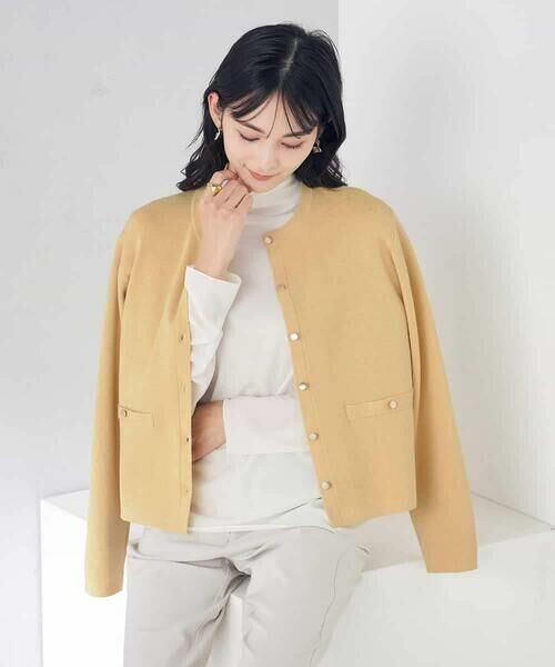 a.v.v / アー・ヴェ・ヴェ カットソー | シアーハイネックカットソー | 詳細1