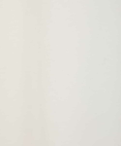 a.v.v / アー・ヴェ・ヴェ カットソー | [140-150]【ポチャッコ】リンガーT | 詳細15