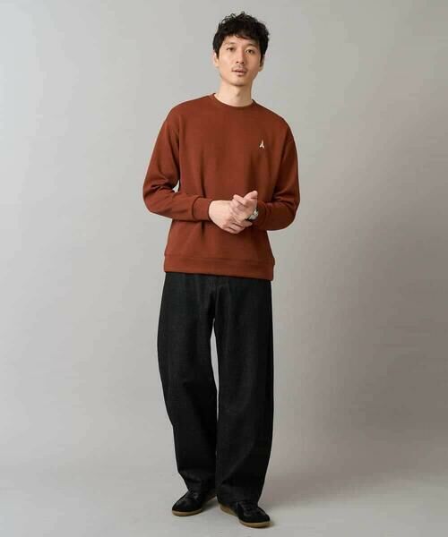 a.v.v / アー・ヴェ・ヴェ スウェット | 【イージーケア/毛玉になりにくい】アゼダブルフェイスワンポイント刺繍プルオーバー | 詳細1