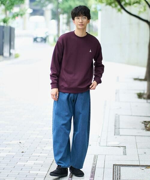 a.v.v / アー・ヴェ・ヴェ スウェット | 【イージーケア/毛玉になりにくい】アゼダブルフェイスワンポイント刺繍プルオーバー | 詳細14