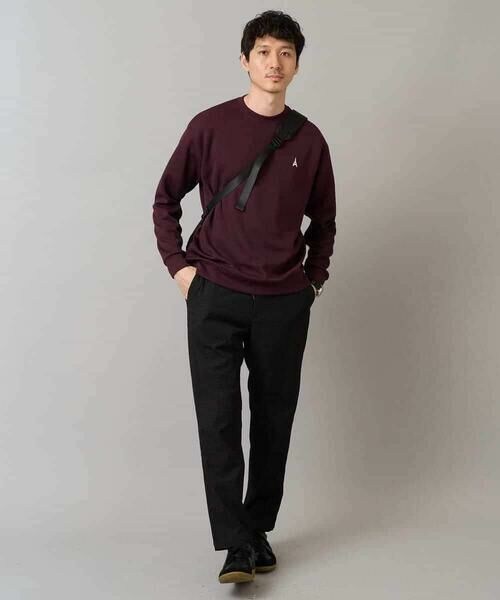 a.v.v / アー・ヴェ・ヴェ スウェット | 【イージーケア/毛玉になりにくい】アゼダブルフェイスワンポイント刺繍プルオーバー | 詳細15