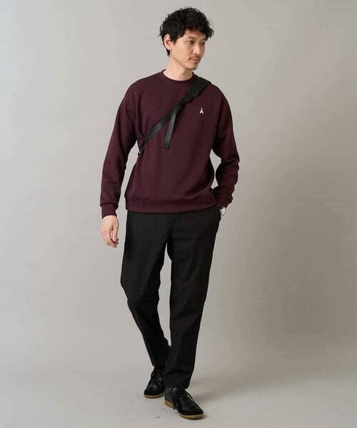 a.v.v / アー・ヴェ・ヴェ スウェット | 【イージーケア/毛玉になりにくい】アゼダブルフェイスワンポイント刺繍プルオーバー | 詳細16