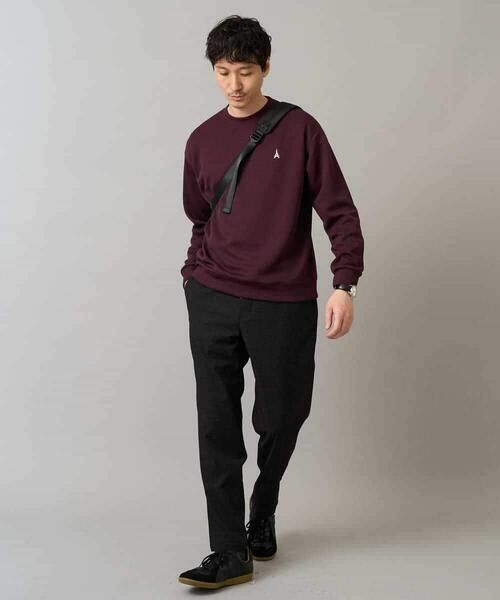 a.v.v / アー・ヴェ・ヴェ スウェット | 【イージーケア/毛玉になりにくい】アゼダブルフェイスワンポイント刺繍プルオーバー | 詳細17