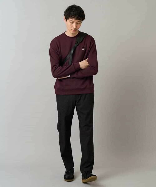 a.v.v / アー・ヴェ・ヴェ スウェット | 【イージーケア/毛玉になりにくい】アゼダブルフェイスワンポイント刺繍プルオーバー | 詳細18