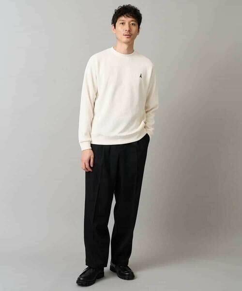 a.v.v / アー・ヴェ・ヴェ スウェット | 【イージーケア/毛玉になりにくい】アゼダブルフェイスワンポイント刺繍プルオーバー | 詳細19