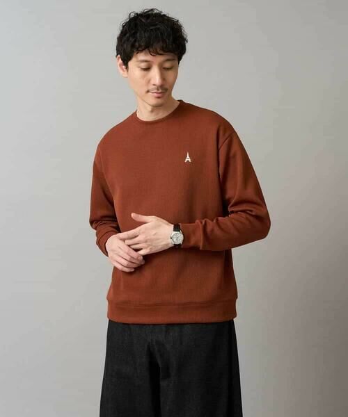 a.v.v / アー・ヴェ・ヴェ スウェット | 【イージーケア/毛玉になりにくい】アゼダブルフェイスワンポイント刺繍プルオーバー | 詳細29