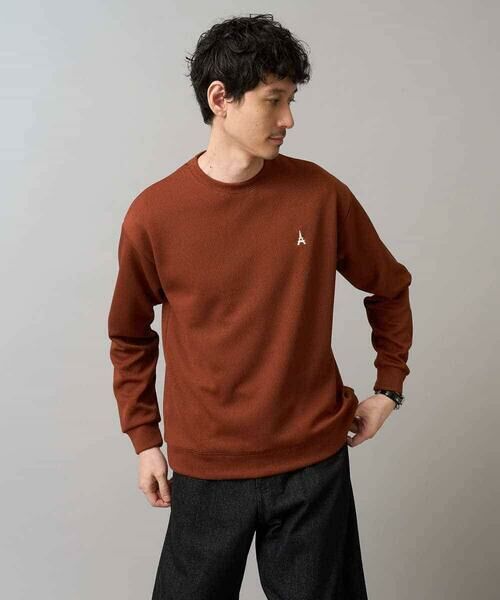 a.v.v / アー・ヴェ・ヴェ スウェット | 【イージーケア/毛玉になりにくい】アゼダブルフェイスワンポイント刺繍プルオーバー | 詳細30