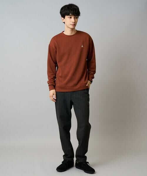 a.v.v / アー・ヴェ・ヴェ スウェット | 【イージーケア/毛玉になりにくい】アゼダブルフェイスワンポイント刺繍プルオーバー | 詳細4