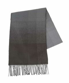 a.v.v / アー・ヴェ・ヴェ マフラー・ショール・スヌード・ストール | マフラー / リバーグラデーション