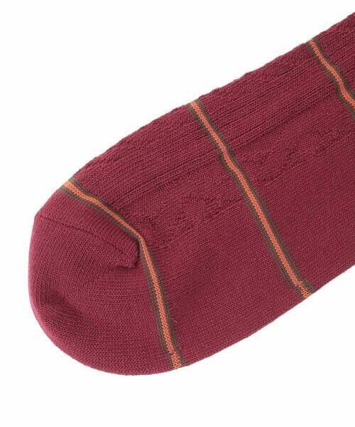 a.v.v / アー・ヴェ・ヴェ その他小物 | 【ギフトにおすすめ】ボーダー柄ソックス | 詳細4