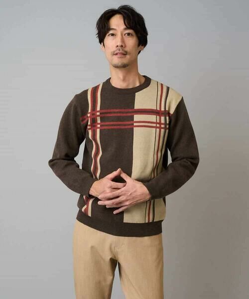 a.v.v / アー・ヴェ・ヴェ ニット・セーター | 【洗濯機で洗える】チェックジャカードクルーネックニット | 詳細4