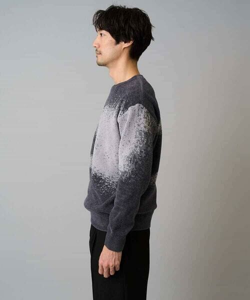 a.v.v / アー・ヴェ・ヴェ ニット・セーター | 【洗濯機で洗える】モールジャカードボカシ柄ニット | 詳細11