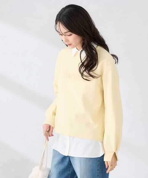 a.v.v / アー・ヴェ・ヴェ カットソー | フロッキープリントプルオーバー | 詳細2